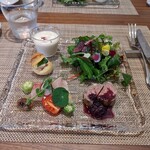 ヴィンカ ロゼア - 