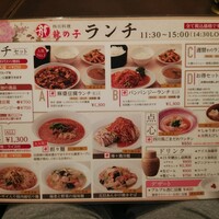 四川料理 龍の子 - 