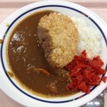 Dokkyou Daigaku Gakushoku - カツカレー（360円）