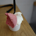 GELATI BRIO - 