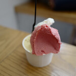 GELATI BRIO - 