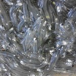 くりはらコモンズ - なんと新鮮などろめもありました(@_@;)