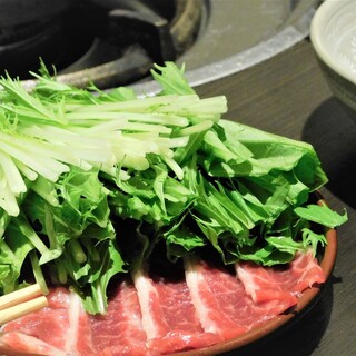 馬肉料理専門店ホース_0