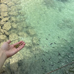 ザ・ブセナテラス - 