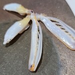 鮨匠 のむら - ㉓蝦蛄の爪(鹿児島県産)
      こちらのしゃこは砂地に棲むため非常にクリアな色と味わいがあります
      蝦蛄で一番甘い部分、蟹の爪ような濃い味ではなく、クリアな甘さ