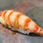 鮨匠 のむら - ⑲車海老(鹿児島県産)
      産卵期は初夏～初秋、旬は初夏～初秋、寿命1年
      天然は朱色のドットに濁りがありません
      アツアツの茹で立てその場で剥いて握って下さいますので、濃厚な旨みと甘さが際立ちます。