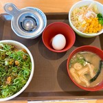 すき家 - ねぎたま牛丼ランチセット