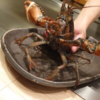 京風鉄板 はせ川 - 活オマール海老