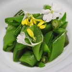 ブレストンコート ユカワタン - 前菜 5ème サラダヴェール：：４種の豆のサラダ