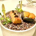 Plaiga TOKYO - 玉蜀黍のフィナンシェにはキャビア　パイ生地の上には利尻 希海雲丹を　素敵なアミューズ