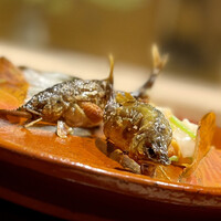 日本料理 研野 - ⑨ 強物
                    〜子持ち鮎塩焼き（琵琶湖）、柿なます。この時期しか頂けない琵琶湖の名物、キラキラと黄金色に輝く卵を抱えた鮎は小ぶりながら濃厚な味わい。新鮮さが伝わるビジュアルが綺麗♫。