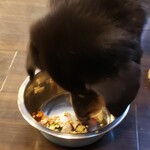 愛犬お宿 伊豆高原 - おかわり2回目。大きなお皿に代えてもらってバクバク食べまくる