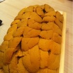 くろぎ - 築地にも数個しか入らない雲丹