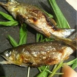 くろぎ - 焼鮎