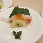 回転寿司 北海素材 - 