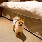 Regina Resort Kyukaruizawa