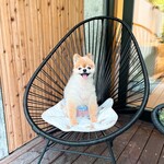 Regina Resort Kyukaruizawa