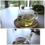 MAISON LAFITE - ◆私はエルダーフラワーのハーブティーを。