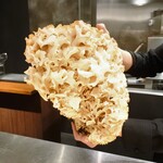 イル アオヤマ - 