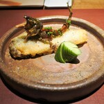 イル アオヤマ - 