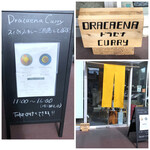 Dracaena curry - 外観