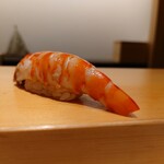 鮨 はしもと - 車海老