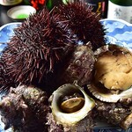 藍島產新鮮海膽海螺