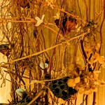 モノリス - つぶ貝、ワイルドライスの写真を撮り忘れ