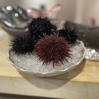 精緻海鮮料理◎店主親自釣獲的當季海味，讓您盡情享受