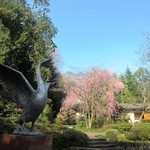 Kanazawa Hakuchou Ro Hoteru Sanraku - 白鳥路の入口にある白鳥の銅像。反対側の入口には前田利家公の銅像。