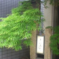 赤坂とゝや魚新 - 入口