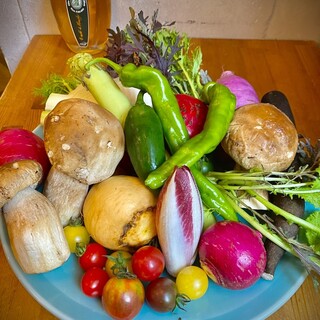 千葉県八街市【ルコラステーション】さんの新鮮な野菜たち