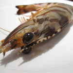 リストランテ ネグラマーロ - 三河産超特大天然車海老