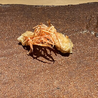 天ぷらあら木 - 