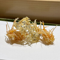 日本料理 山里 - 
