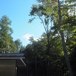 フォリオリーナ・デッラ・ポルタ・フォルトゥーナ - 