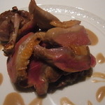 フォリオリーナ・デッラ・ポルタ・フォルトゥーナ - 