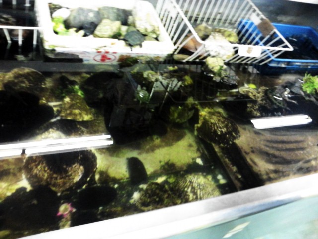 ママショッピングセンター 大月町その他 その他 食べログ