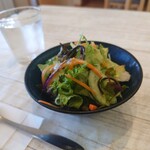 オレガノ - サラダ、お野菜新鮮でドレッシングも美味い！