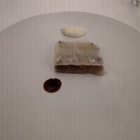 シルー - 