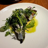 ル スプートニク - 