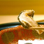 麻布さおとめ - 