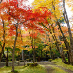 クレソン リバーサイド ストーリー 旧軽井沢 - 紅い庭