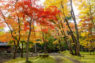 クレソン リバーサイド ストーリー 旧軽井沢 - 紅い庭