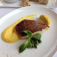 THE COSMOPOLITAN GRILL BAR TERRACE - 鯛