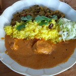 ethica - 上　ケララカレー　下　バターチキンカレー