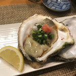 Sushi Dainingu Matsuyuki - 岩牡蠣　byまみこまみこ