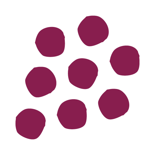 ワイン＆カフェ アダージョ - 東室蘭（洋食）の写真