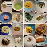 セルサルサーレ - 