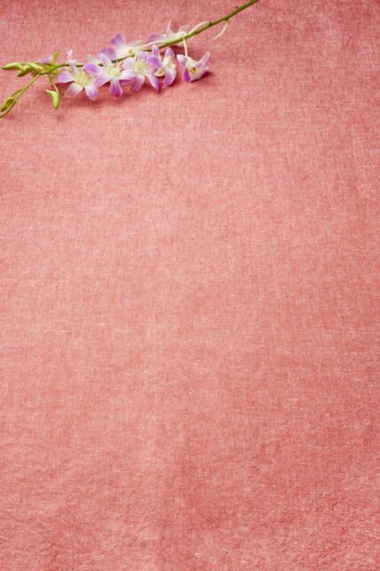 Hawaiian Diner HANAO CAFE ララガーデン長町店（ハワイアン ダイナー ハナオ カフェ） - 長町南（ハワイ料理）の写真